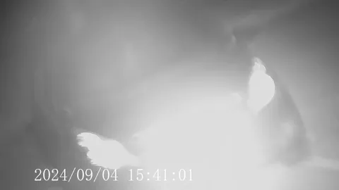 2 Part 17
