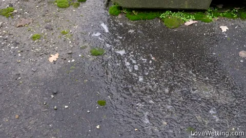 2024-12-23 - Bonus with Nikki Dream Part 7