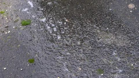 2024-12-23 - Bonus with Nikki Dream Part 8