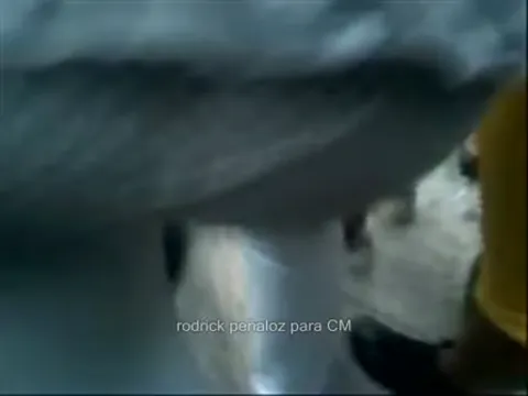 arrimn a ten buenota en evento de secu.wmv Part 7