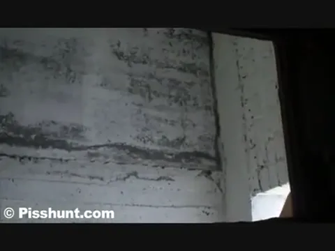 Beautiful voyeur peeing females 1.flv Part 53
