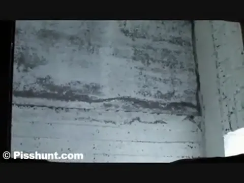 Beautiful voyeur peeing females 1.flv Part 88