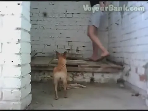 Beautiful voyeur peeing females 1.flv Part 90