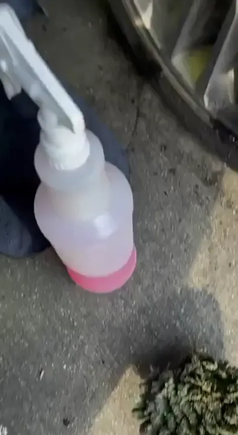 Bend over Cameltoe Part 1