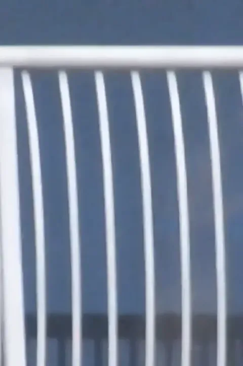 Bottomless Neighbor out fo a Smoke Part 6