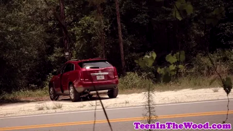 Busty teen hardfucked after getting stranded Part 8