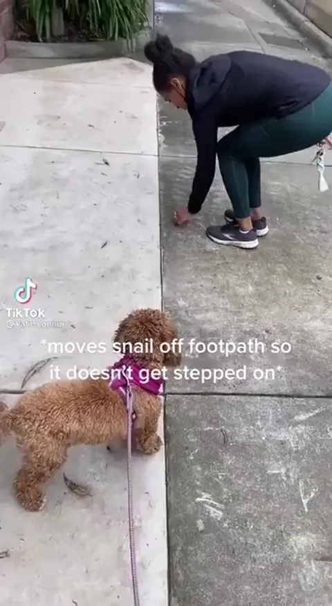 candid snail Crushing Part 1