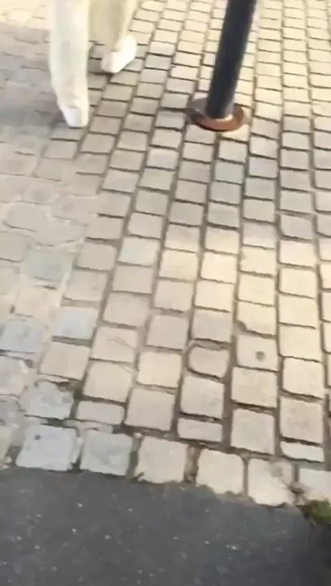 Candid teen with a float pants - slow motion Part 1