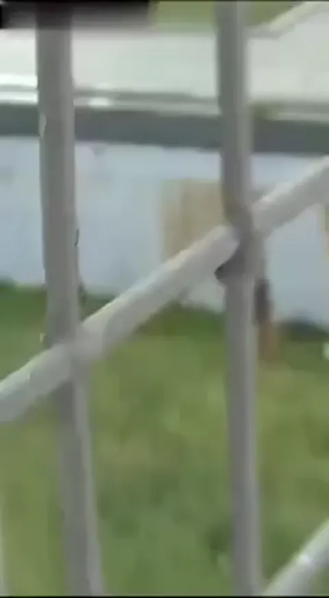 Caught sucking her friends pussy Part 1