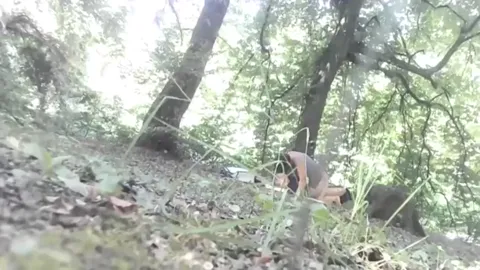 FOREST from Romania Part 1