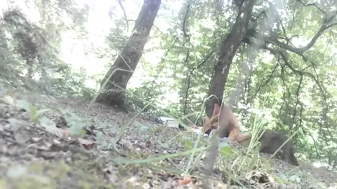 FOREST from Romania Part 10