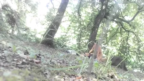 FOREST from Romania Part 11