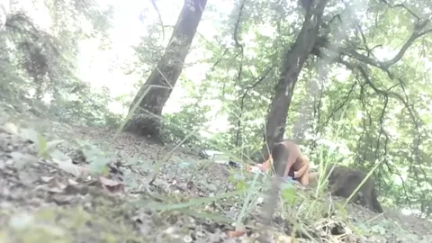 FOREST from Romania Part 18