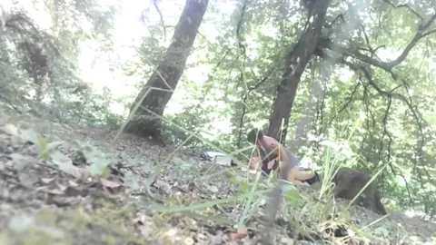 FOREST from Romania Part 2