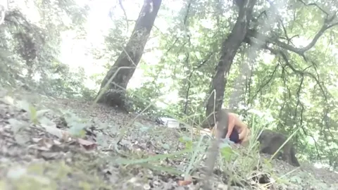 FOREST from Romania Part 23