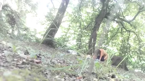 FOREST from Romania Part 24