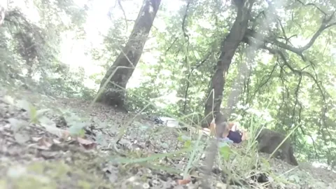 FOREST from Romania Part 27