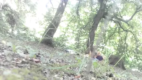 FOREST from Romania Part 28