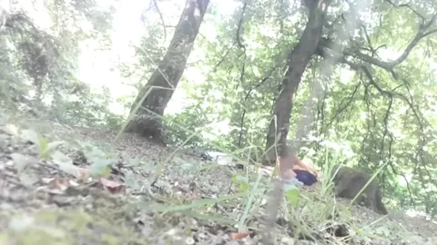 FOREST from Romania Part 29