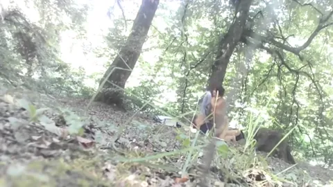 FOREST from Romania Part 3