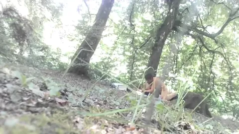 FOREST from Romania Part 6