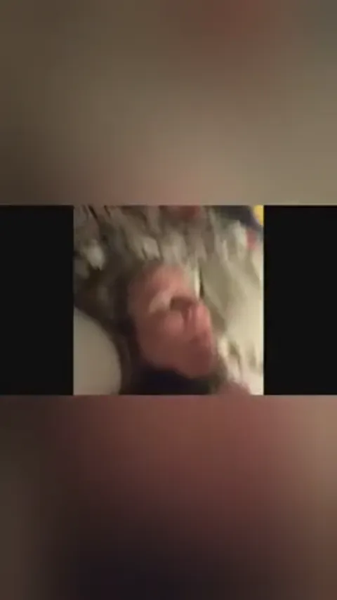 Greenville/Anderson/J'ville/Anniston - know Lulu? Part 12