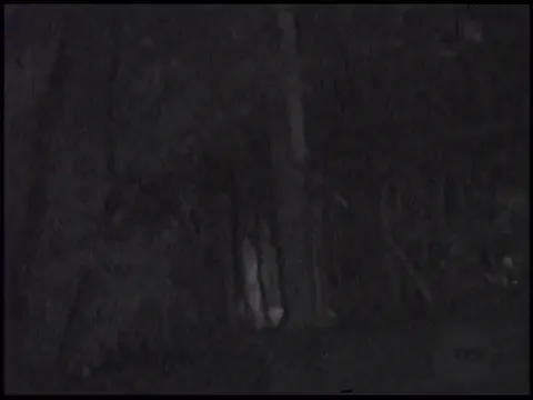 Lesbian Japanese outdoor voyeur Part 111