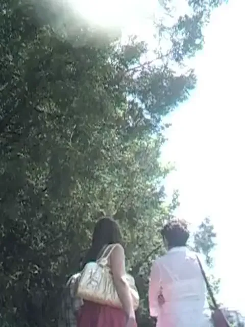 Minifaldas Upskirt sluts Part 1