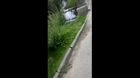 More Euro Creepshots Part 1