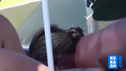 Nude Beach - Public Blowjobs Part 31