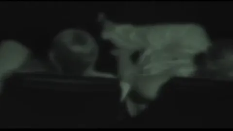 Oral & Fuck in Theater [hidden] Part 4