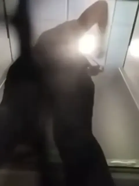 Pool cabin voyeur Part 1