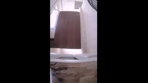 Public Restroom Spy Cam Part 22
