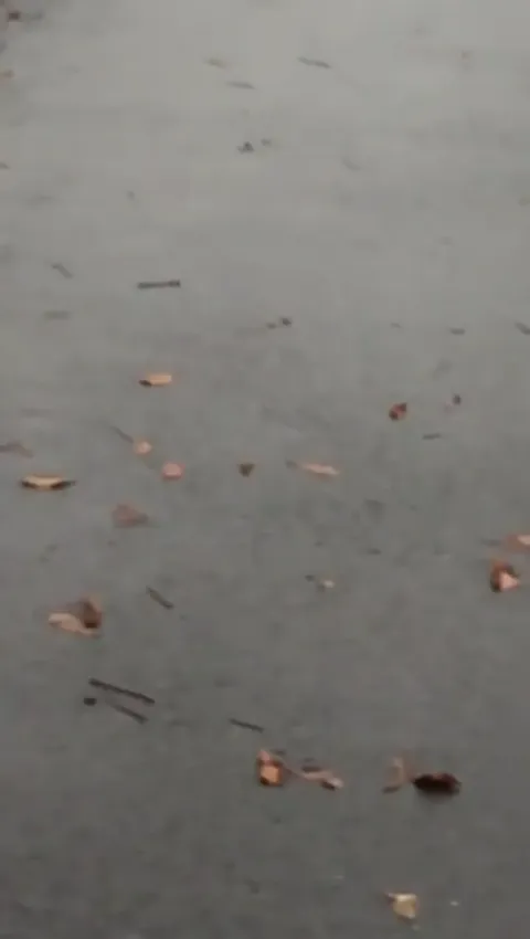 Quality Candid Ass Part 2