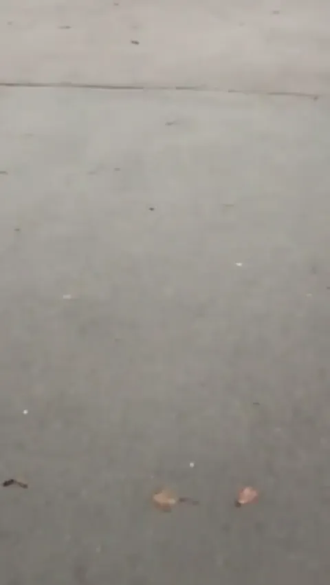 Quality Candid Ass Part 3