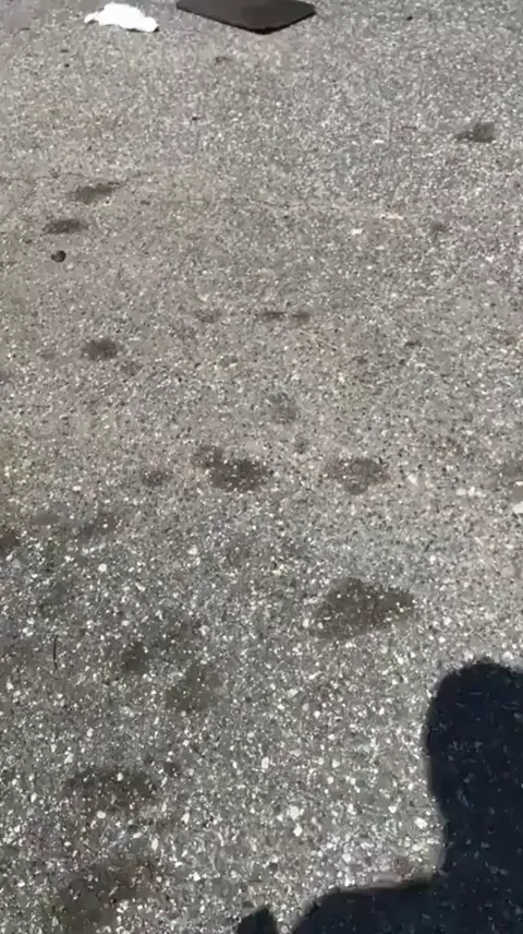 Recording a nut buster booty Part 1