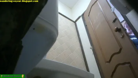 Spy Cam WC Restroom CLOSE UP PUSSY Part 1