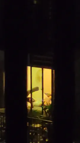 Spy on neighbour Part 2