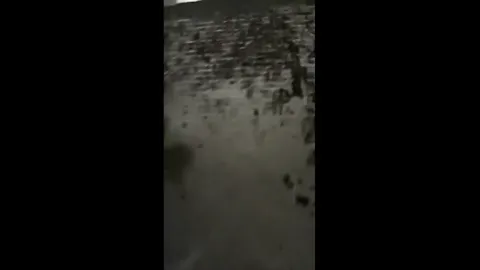 Spycam Collection Part 29