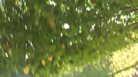 Upskirt of Pantiless Teen in Park Part 1