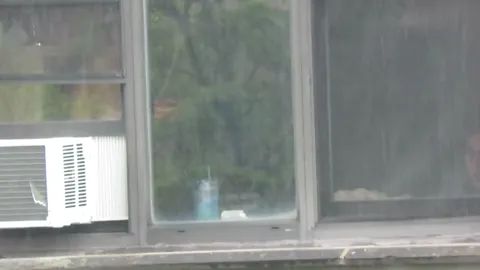 Various hidden Part 1