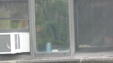 Various hidden Part 2