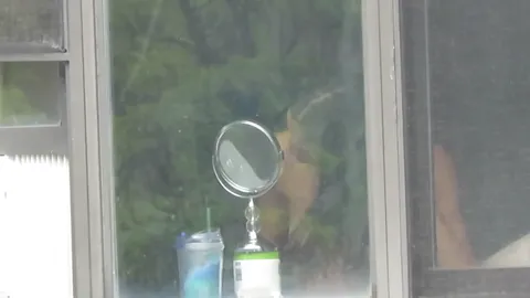 Various hidden Part 35