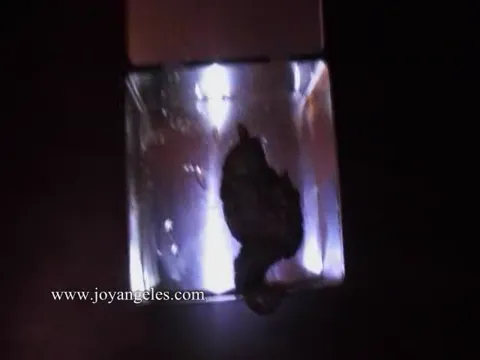 wc spy cam  toilet cam girl Part 11