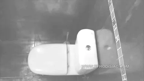 wc spy cam  toilet cam girl Part 1