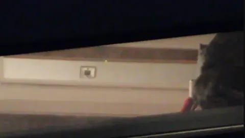 Window Voyeur - xHamster.RTcom.flv Part 1